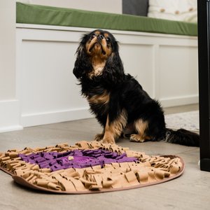 Injoya PB & J Cat & Dog Snuffle Mat, Brown, Medium