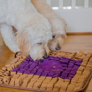 Injoya PB & J Cat & Dog Snuffle Mat, Brown, Medium