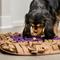 Show in main carousel: Injoya PB & J Cat & Dog Snuffle Mat, Brown, Medium slide 4 of 9