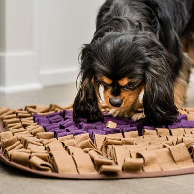 Show full view: Injoya PB & J Cat & Dog Snuffle Mat, Brown, Medium slide 4 of 9