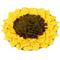 Show in main carousel: Injoya Sunflower Dog & Cat Snuffle Mat, Yellow, Small slide 1 of 5