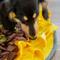 Show in main carousel: Injoya Sunflower Dog & Cat Snuffle Mat, Yellow, Small slide 3 of 5