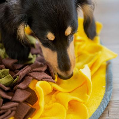 Show full view: Injoya Sunflower Dog & Cat Snuffle Mat, Yellow, Small slide 3 of 5