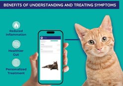 Innovative Pet Lab Comprehensive Gut Check Test Kit for Cats slide 2 of 6