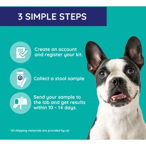 Innovative Pet Lab Comprehensive Review Dog Gut Check Kit