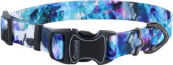 Inspire Adjustable Fashion Polyester Standard Dog Collar, Rainy Day Floral, Small: 10 to 14-in neck, 5/8-in wide
