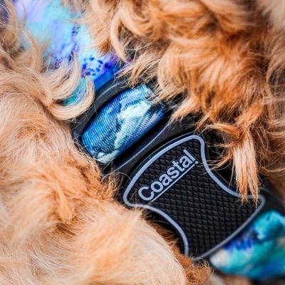 Show full view: Inspire Adjustable Fashion Polyester Standard Dog Collar, Rainy Day Floral, Small: 10 to 14-in neck, 5/8-in wide slide 4 of 4