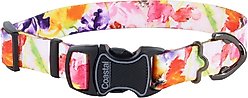 Inspire Adjustable Fashion Polyester Standard Dog Collar, Sherbet Blooms, X-Small: 8 to 12-in neck, 5/8-in wide