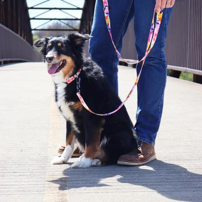 Show full view: Inspire Adjustable Fashion Polyester Standard Dog Collar, Sherbet Blooms, X-Small: 8 to 12-in neck, 5/8-in wide slide 3 of 3