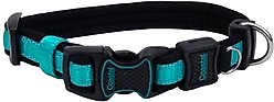 Inspire Adjustable Neoprene Standard Dog Collar, Aqua, Medium: 14 to 20-in neck, 1-in wide