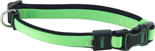 Show full view: Inspire Adjustable Neoprene Standard Dog Collar, Green, X-Small: 8 to 12-in neck, 5/8-in wide slide 6 of 9