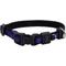 Show in main carousel: Inspire Adjustable Neoprene Standard Dog Collar, Purple, Medium: 14 to 20-in neck, 1-in wide slide 1 of 5