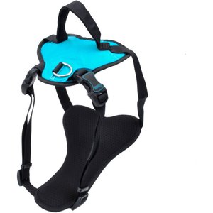 Inspire Basic Dog Harness, Aqua, Large: 26 to 38-in chest