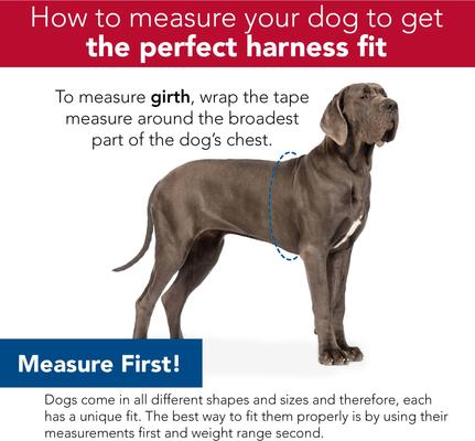 Show full view: Inspire Basic Dog Harness, Aqua, Large: 26 to 38-in chest slide 7 of 7