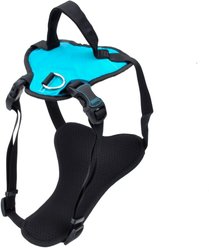 Inspire Basic Dog Harness, Aqua, Medium: 20 to 30-in chest