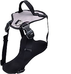 Inspire Basic Dog Harness, Grey, Small: 16 to 24-in chest