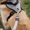 Show in main carousel: Inspire Basic Dog Harness, Grey, X-Large: 30 to 43-in chest slide 3 of 4