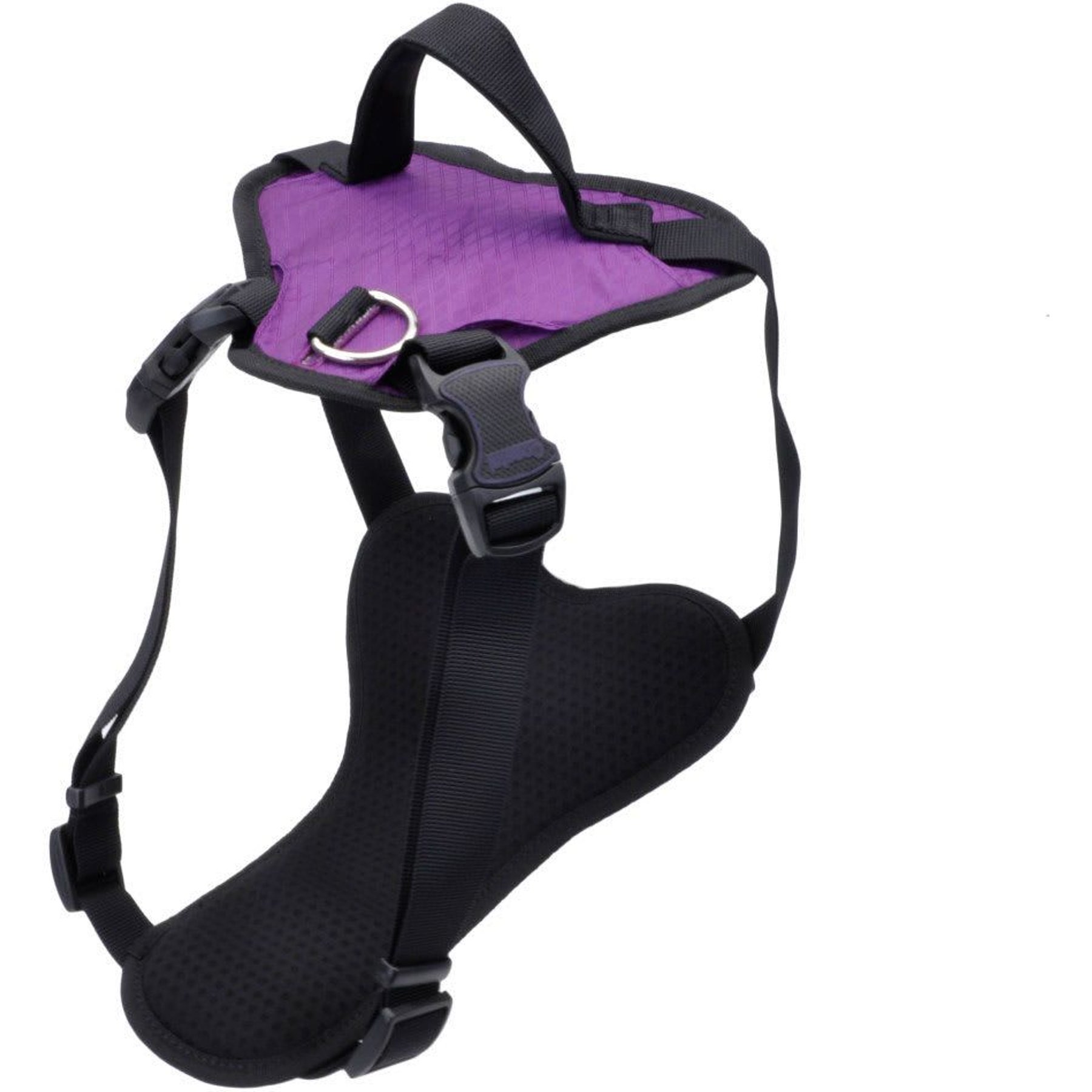Inspire Basic Dog Harness, Purple, Large: 26 to 38-in chest