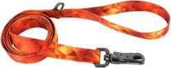Inspire Fashion Polyester Standard Dog Leash, Blazing Shards, 6-ft long, 5/8-in wide