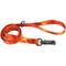 Show in main carousel: Inspire Fashion Polyester Standard Dog Leash, Blazing Shards, 6-ft long, 5/8-in wide slide 1 of 1