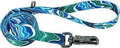 Inspire Fashion Polyester Standard Dog Leash, Malachite Magic, 6-ft long, 1-in wide