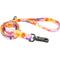 Show in main carousel: Inspire Fashion Polyester Standard Dog Leash, Sherbet Blooms, 6-ft long, 5/8-in wide slide 1 of 4