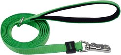 Inspire Neoprene Standard Dog Leash, Green, 6-ft long, 5/8-in wide
