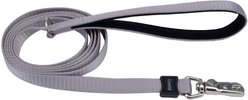 Inspire Neoprene Standard Dog Leash, Grey, 6-ft long, 1-in wide