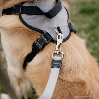 Show full view: Inspire Neoprene Standard Dog Leash, Grey, 6-ft long, 5/8-in wide slide 3 of 3