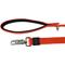 Show in main carousel: Inspire Neoprene Standard Dog Leash, Red, 6-ft long, 5/8-in wide slide 4 of 4