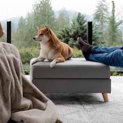 INSTACHEW BENCHI Ottoman Dog & Cat Bed, Grey slide 2 of 6