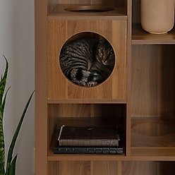 INSTACHEW BOKEN Multifunctional Cat Condo with Storage, Walnut slide 2 of 4