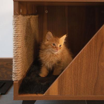 Show full view: INSTACHEW HOSHI Lite Multifunctional Cabinet with Cat Scratcher, Walnut slide 5 of 5