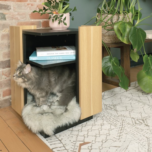 INSTACHEW Plazy Play Platform Cat Furniture, Brown