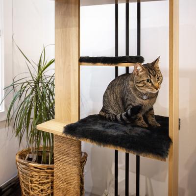 Show full view: INSTACHEW MODAN Multifunctional Cat Tree with LED Lighting, Oak slide 4 of 5