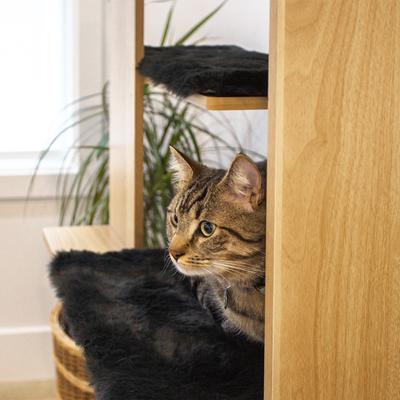Show full view: INSTACHEW MODAN Multifunctional Cat Tree with LED Lighting, Oak slide 3 of 5