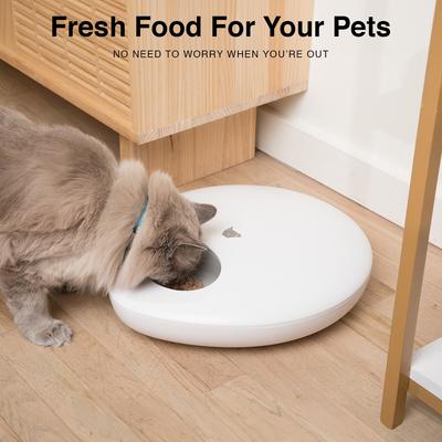 Show full view: INSTACHEW Purechew Mix Smart Dog & Cat Feeder, for Dry & Wet Food, White slide 5 of 7