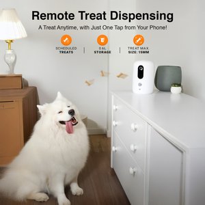 INSTACHEW Purechew Snack Cat & Dog Treat Dispenser, HD Camera, White