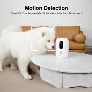 INSTACHEW Purechew Snack Cat & Dog Treat Dispenser, HD Camera, White