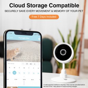 INSTACHEW Purrsight Mini HD Pet Camera, White