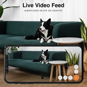 INSTACHEW Purrsight Mini HD Pet Camera, White