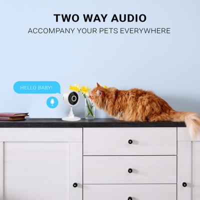 Show full view: INSTACHEW Puresight Mini HD Pet Camera, White slide 5 of 7