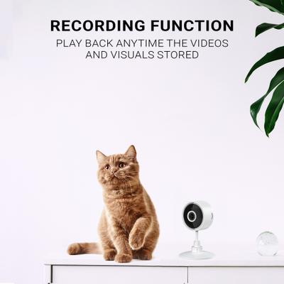 Show full view: INSTACHEW Puresight Mini HD Pet Camera, White slide 2 of 7