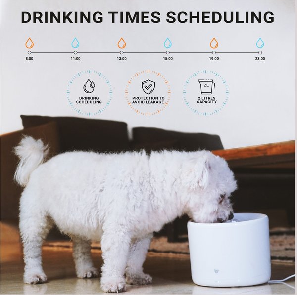 INSTACHEW Purrflow Smart Dog & Cat Water Fountain, White, 2-L
