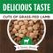 Show in main carousel: Instinct Healthy Cravings Real Lamb Recipe in Savory Gravy Grain-Free Wet Dog Food Topper, 3-oz pouch, case of 24 slide 4 of 11