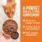 Show in main carousel: Instinct Healthy Cravings Real Rabbit Recipe in Savory Gravy Grain-Free Wet Cat Food Topper, 3-oz pouch, case of 24 slide 5 of 12