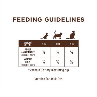 Show full view: Instinct Limited Ingredient Diet Real Rabbit Recipe Grain-Free Dry Cat Food, 4.5-lb bag slide 9 of 13