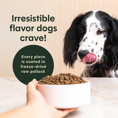 Show full view: Instinct Original Adult Grain-Free Real Beef Recipe Dry Dog Food, 20-lb bag slide 5 of 12