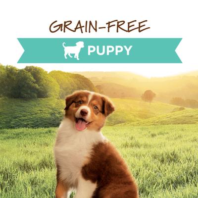 Show full view: Instinct Original Puppy Grain-Free Real Chicken Recipe Wet Dog Food, 13.2-oz can, case of 6 slide 3 of 12