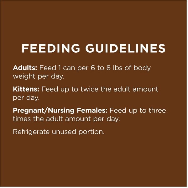 INSTINCT Original Real Rabbit Recipe Grain-Free Pate Wet Cat Food, 5.5 ...